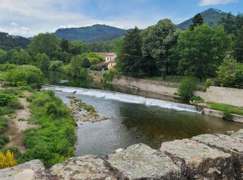 Excursión Senderismo Saint-Étienne-Vallée-Française - Stevenson Pont de Burgen - Saint Jean du Gard - Photo