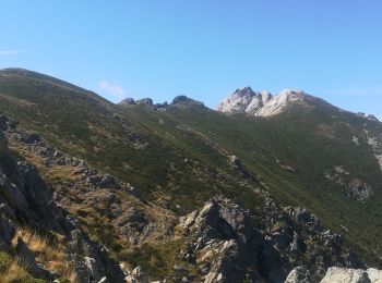 Excursión Senderismo Bocognano - Palmentu et crête de pointe Orient - Photo