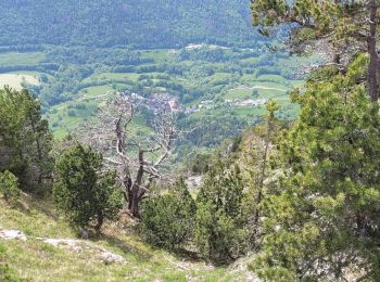 Excursión Senderismo Aillon-le-Jeune - 260523 Boucle Colombier d'Aillon - Photo