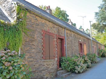 Excursión A pie Grand-Auverné - La Lande du Don - Photo