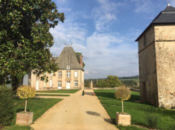 Excursión A pie Vimartin-sur-Orthe - Circuit de Saint-Pierre-sur-Orthe - Photo