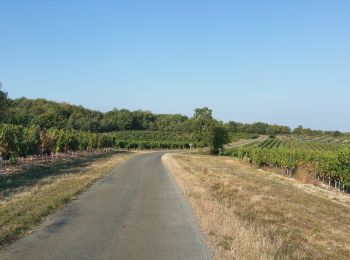 Tocht Fietstoerisme Mauroux - Mauroux, Puy l'évêque - Photo