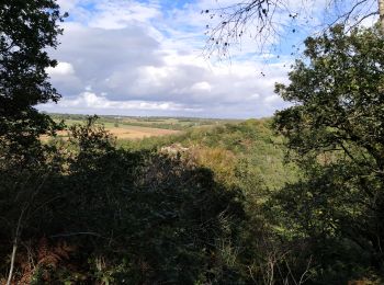 Trail Walking Quimper - stankou - Photo