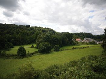 Tour Wandern Anhée - Sosoye - Circuit Natura 2000, des sites qui valent le détour - Na11 - Photo