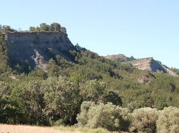 Tocht Stappen Aubignosc - aubignosc. Le canyon de mourieu  , partie haute  - Photo