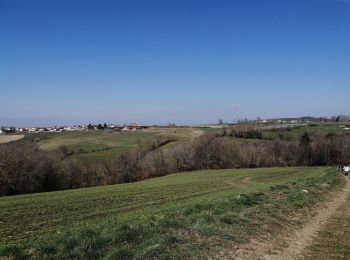 Tocht Stappen Grézieu-le-Marché - grézieu le marché  - Photo