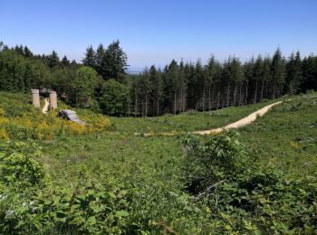 Excursión Senderismo Chevinay - Saint Bonnet Le Froid - Les tours - Photo