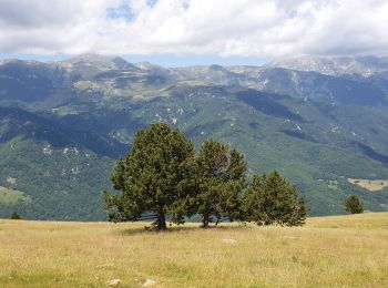 Percorso Marcia Prats-de-Mollo-la-Preste -  Siern Pregon Tours de Mir_T - Photo