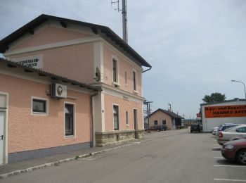 Tocht Te voet Gemeinde Atzenbrugg - Biberwanderweg - Photo