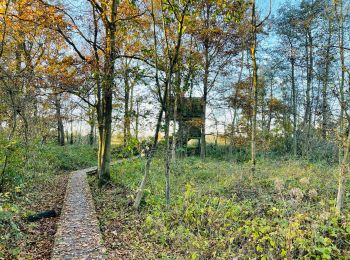 Trail Walking Mechelen - La réserve naturelle Mechels Broek à Muizen (petite) - Photo