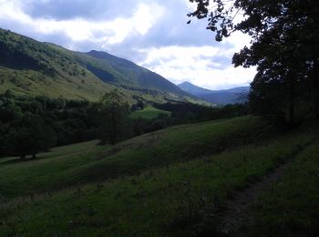 Tocht Te voet Lavigerie - La Vallée de l'Impradine - Photo