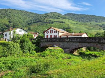 Excursión Senderismo San Juan Pie de Puerto - vignoble Irouleguy - Ispoure - Photo