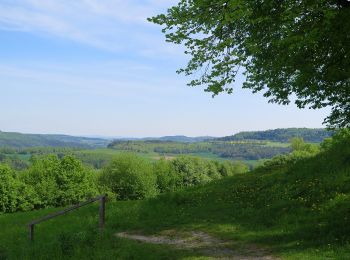 Tocht Te voet Ebensfeld - Pferdsfelder Kapellenweg - Photo