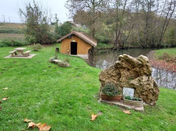 Tocht Stappen Bazoches-sur-le-Betz - Bazoches sur le Betz 241117 - Photo