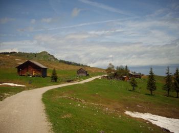 Percorso A piedi Strobl - Postalm Rundweg 3 - Photo