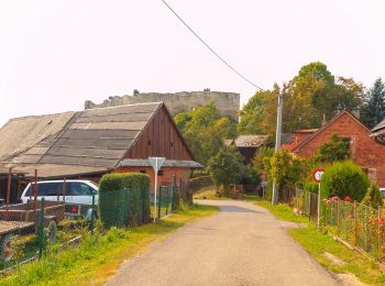 Tour Zu Fuß Zottkittl - [Ž] Lanšperk-Mariánská hora - Photo