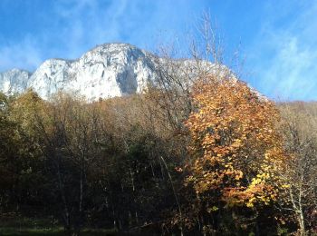 Trail Walking Saint-Jean-d'Arvey - St Jean d'Arvey-col de la Doria-Mont Peney-crêtes-passage de la Dorette - Photo