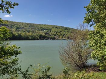 Randonnée Marche Chasteaux - Tour du lac de causse  - Photo