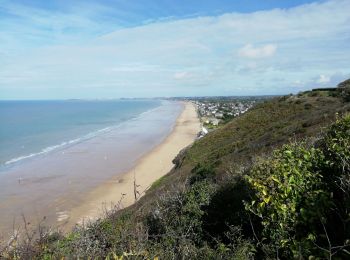 Randonnée Marche Carolles - Falaises de Carolles  - Photo