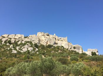 Trail Walking Maussane-les-Alpilles - PF-Maussane-les-Alpilles - Les Baux - Photo