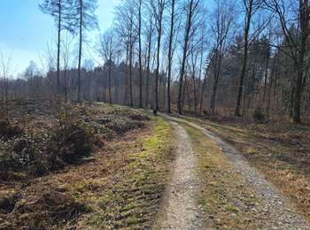 Tour Wandern Florennes - Bernard  - Photo