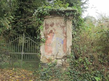 Trail On foot Comignago - L' archeologia - Photo