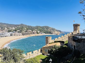 Tocht Stappen Tossa de Mar - visorando-la-vieille-ville-et-les-petites-rues-de-tossa-de-mar 2 - Photo