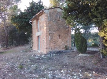 Trail Walking Caromb - Caromb Crillon le Brave 84 - Photo