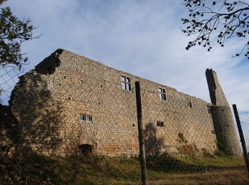 Tour Zu Fuß Sauvessanges - La Ligonne - Photo