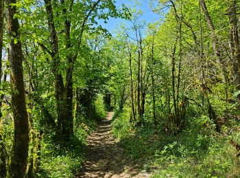 Randonnée Marche La Tour-du-Meix - A la découverte du lac de Vouglans 🥾 - Photo