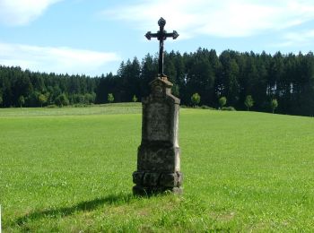 Percorso A piedi Marktoberdorf - Terra Nostra II - Photo