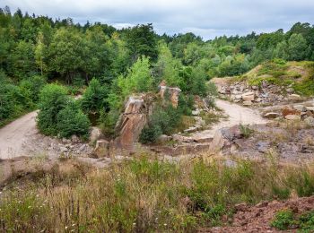 Tour Zu Fuß Sand a.Main - Sander Weintal-Route - Photo