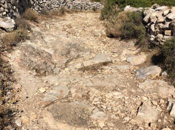 Trail Walking - Prodromos - Lefkes A-R par la « Route Byzantine « - Photo