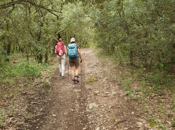 Trail Walking Pourrières - le mont Aurélien - Photo