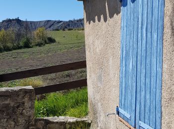 Trail Walking Sisteron - Bois de Buche depart Sisteron 417 + - Photo