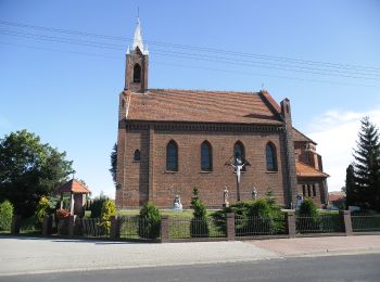 Tocht Te voet Dobroszyce - Okólny?- Trzebnica czerwony - Photo