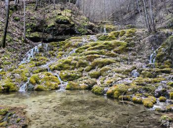 Excursión Senderismo Saint-Bauzile - Rouffiac/la Tuffière/Montialoux - Photo