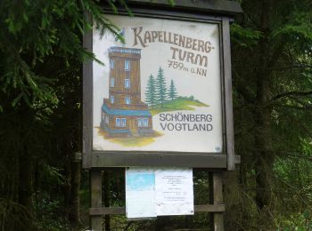 Tour Zu Fuß Bad Brambach - Wanderweg blauer Strich - Photo