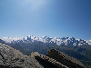 Trail On foot Zermatt - Mettelhorn - Photo
