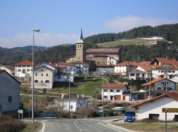 Randonnée A pied Erro - Erro - Mezkiritz - Photo