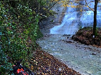 Tocht Mountainbike Porte-de-Savoie - Les coteaux d'Apremont - Photo