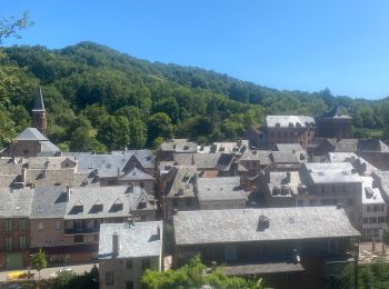 Tocht Elektrische fiets Muret-le-Château - Villecomtal dans le 12 - Photo