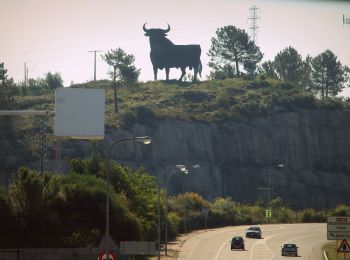 Percorso A piedi Redondela - ¿Nombre de RUTA? - Photo