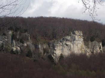 Tocht Te voet Pretzfeld - Wichsenstein-Dicker Berg - Photo