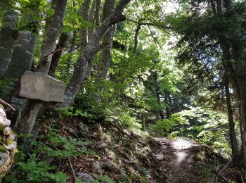 Tour Wandern Engins - Charande par le Pas de La Lose et le Pas du Follet - Photo