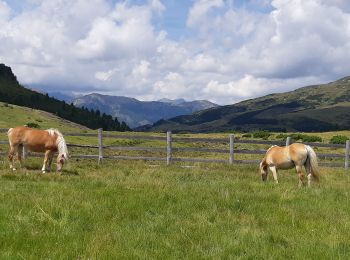 Tocht Stappen Villanders - Villandro - villander - Photo