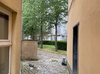 Tour Wandern Oudenaarde - Audenarde 14,7 km - Photo
