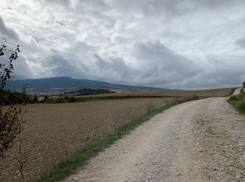 Trail Walking Pamplona - 2023 10 16 CAMINO FRANCES - 24ème étape 1ère partie : Pamplona - Cizur Menor - Zariquiegui - Uterga - Muruzabal - Obanos -Puente La Reina  - Photo