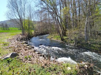 Trail Walking Chidrac - Chidrac à Saint-Floret - Photo