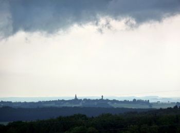 Randonnée A pied Sohren - Gedichte Pfad Sohren - Photo